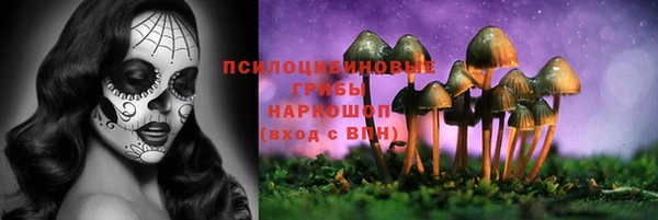 сатива Краснотурьинск