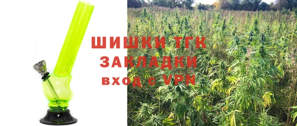 сатива Краснотурьинск