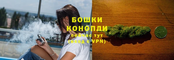 сатива Краснотурьинск